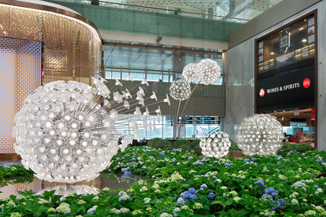 Fragile Dandelions Adorn Changi Airport in Singapore