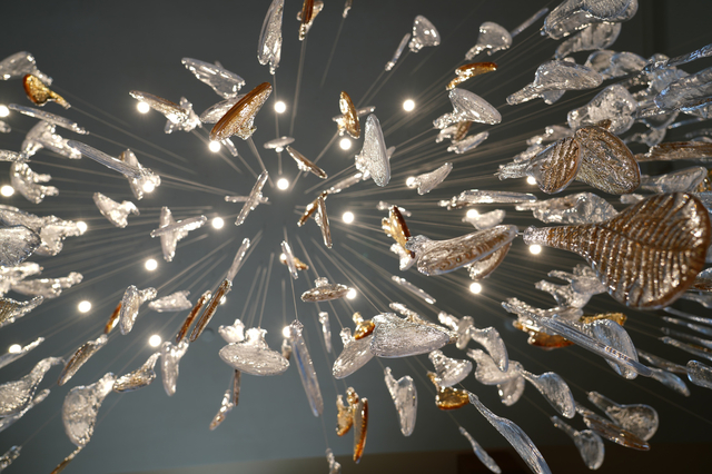 Illumination Inspired by Emirati Nature