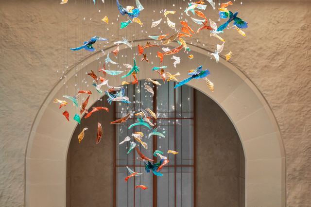 Bird of Paradise in Light