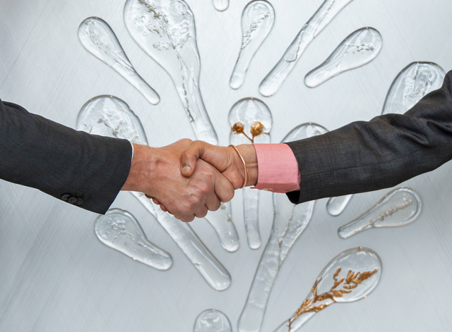 Herbarium by Lasvit became Czechia’s first permanent gift to the United Nations